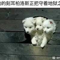 刻耳柏洛斯（对应第一只小狗）