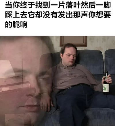 图片上方配有文字“当你终于找到一片落叶然后一脚踩上去它却没有发出那声你想要的脆响”，下方是一位男性坐在蓝色沙发上，左手拿着啤酒瓶，表情沮丧、眼神低垂，身体微微后仰，整体呈现出因期待落空而失落的状态。画面通过文字与人物表情的结合，幽默地展现了日常生活中因小事未达预期而产生的轻微失望情绪。