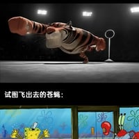功夫熊猫