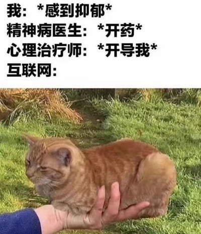 图片上半部分为黑色文字内容，依次描述了当“我”感到抑郁时，精神病医生、心理治疗师和互联网的不同反应：精神病医生选择“开药”，心理治疗师进行“开导我”，而“互联网”的反应则用下半部分的图片呈现——一只橘猫被人捧在手心，趴在绿色草地上，眼神微眯，表情放松惬意。通过对比正式医疗角色与互联网的治愈方式，幽默地突出互联网以萌宠内容带来意外安慰的特点。
