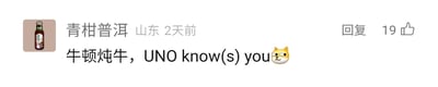 这是一张来自国内社交媒体平台的用户评论静态截图，属于单图形式。截图中显示评论用户的昵称为“青柑普洱”，所在地标注为山东，评论发布时间为2天前，该评论获得了19次点赞，界面右侧设有“回复”按钮。评论内容为“牛顿炖牛，UNO know(s) you”并附带一个斜眼笑的柴犬表情，其中包含两处谐音梗：“牛顿炖牛”谐音“牛顿定律”，“UNO know(s) you”谐音英文“no one knows you”（意为没人认识你），是用户在网络互动中创作的趣味玩梗内容，风格轻松诙谐，符合网络社交的趣味互动氛围。