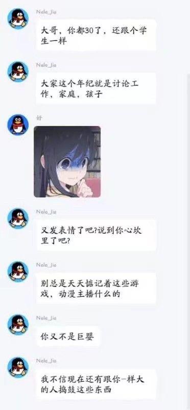 这是一段腾讯QQ的聊天记录截图，用户Nale_Jiu对聊天对象展开一连串吐槽：指责对方已经30岁却还像学生一样，认为这个年纪的人应该讨论工作、家庭、孩子这类话题，而不是天天惦记游戏、动漫主播，嘲讽对方是巨婴，还表示不相信有同龄人还在关注这些内容。聊天对象仅回复了一张黑发动漫女孩捂嘴的表情包，未作文字回应。整个对话体现了不同人对于年龄与兴趣爱好的不同看法，没有双关、谐音梗或暗示内容。