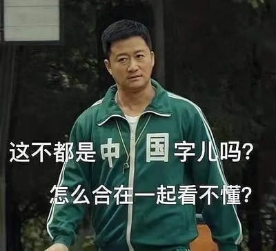 图片中一名身穿绿色运动服的人，运动服上印有“中国”二字。配文为“这不都是中文字儿吗？怎么合在一起看不懂？”，表达了人们看到熟悉的汉字组合成难懂信息时的自嘲和无奈，常见于网络段子和日常调侃学术、行业黑话等令人费解的内容。整体气氛幽默，夹杂着一点点崩溃感。这个梗自带玩笑的双关意味，把认识的字放在一起反而看不懂，引发共鸣。