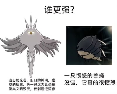 这是一张来自游戏《空洞骑士》的对比梗图，左侧是游戏中的最终BOSS“遗忘的光芒”（辐光），被描述为“旧日的神明，虚空的宿敌，凭一己之力让圣巢文明毁灭”；右侧则是游戏中一种普通敌人“愤怒的兽蝇”，配文“没错，它真的很愤怒”。图片通过夸张的实力对比制造幽默效果，展现了游戏社区中常见的角色强度调侃文化。
