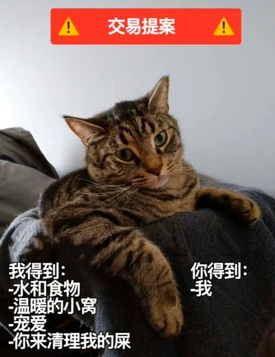 图片中是一只虎斑猫悠闲地躺卧在灰色毯子上，眼神淡定自信。图片顶部有一个红色横幅，上面写着“交易提案”并配有两个黄色警告图标。猫的下方左右两侧分别有文字：左侧“我得到：-水和食物 -温暖的小窝 -宠爱 -你来清理我的屎”，右侧“你得到：-我”。整体通过猫咪视角展现了一种幽默的“不平等交易”，突出宠物与主人间的趣味关系。