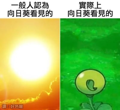 这张梗图用两幅对比画面解释了向日葵“看到的”视角。左边是一团大大的太阳，表现出人们普遍以为的“向日葵看到的景象”；右边图中模仿《植物大战僵尸》里的向日葵形象，从背后看去正好是向日葵自己的背部，幽默指出其实向日葵只能看到自己同伴的“屁股”，形成搞笑反差。

此图具明显反差梗，与二次元游戏梗融合，符合网友脑洞大开的幽默风格。