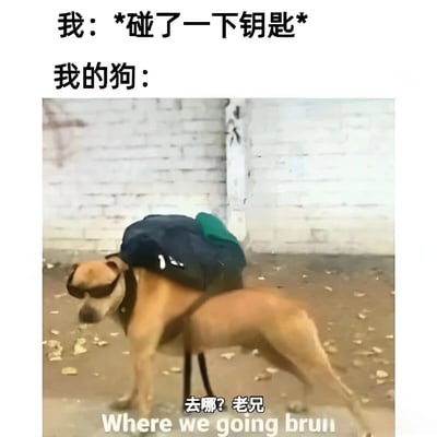 这张梗图幽默地描绘了当主人碰了一下钥匙时狗狗的反应。图片上方文字写着"我: *碰了一下钥匙* 我的狗:"，下方是一只戴着墨镜、背着背包的棕色狗狗，看起来已经准备好出门，图片底部配有文字"去哪? 老兄 Where we going bruh"。这反映了狗狗通常能通过钥匙声联想到要出门散步的有趣现象。