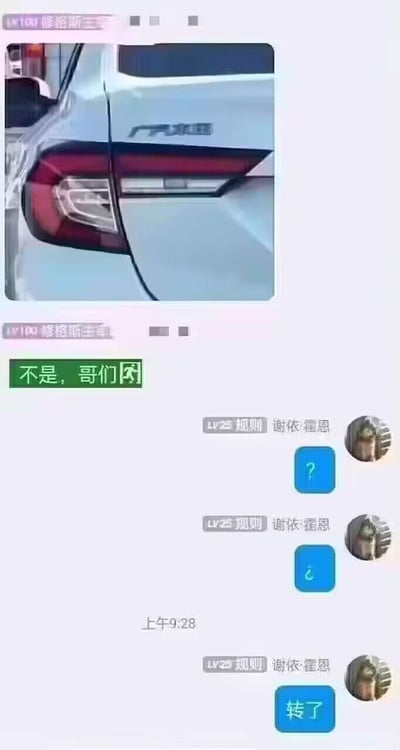 这是一段竖屏手机聊天记录截图，核心是利用视觉错觉打造趣味互动：
1. 用户「修洛斯王」先发送一张广汽本田汽车尾部的车标图片，随后发消息「不是，哥们😅」；
2. 用户「谢依·霍恩」连续发送两个问号，表达疑惑；
3. 最后「谢依·霍恩」发送消息「转了」。

**视觉梗解析**：将这张广汽本田车标图片旋转180度后，因字体的设计风格，字样会看起来像「转了吗？」，发图者以此隐晦询问，对方旋转图片理解含义后回复「转了」，形成搞笑的聊天互动。