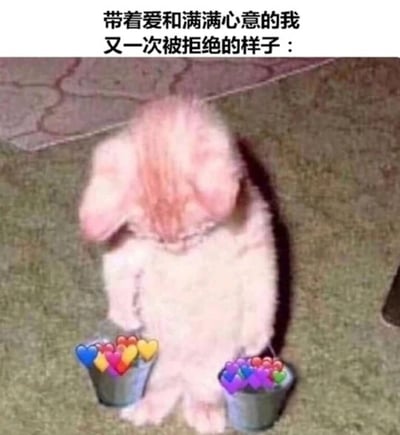 这是一张流行的网络表情包，画面中一只小猫站立着，双手各持一个装有彩色爱心的小桶，上方配有文字'带着爱和满满心意的我又一次被拒绝的样子:'，生动地表达了付出真心却遭遇拒绝后的失落与无奈情绪。