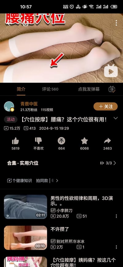 图片为短视频平台的中医教学内容截图，上方特写展示一双穿着白色长筒袜的腿部，红色箭头标注“腰痛穴位”位置；下方为视频播放界面，包含账号“青鹿中医”信息（21.3万粉丝、15.2万播放量）、视频标题“[穴位按摩] 腰痛？这个穴位很有用！”及点赞（5819）、评论（560）等互动数据，底部还有“男性的性欲规律和周期”等相关健康视频推荐。整体用于分享缓解腰痛的穴位按摩知识，画面通过腿部特写直观展示穴位位置。
