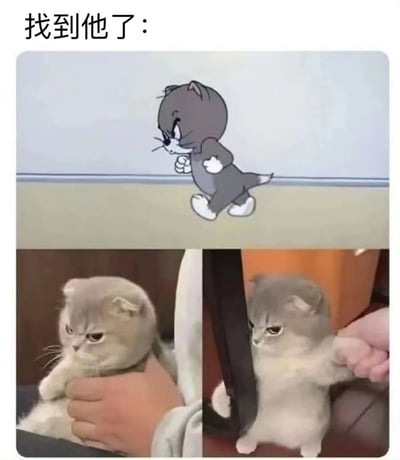 图片上方文字为“找到他了：”，中间是动画《猫和老鼠》中汤姆猫（灰色猫咪）愤怒走路的截图，下方两张是现实中灰色英短猫咪被人抓住的照片，其表情和姿势与汤姆猫高度相似，形成“神还原”的搞笑对比效果。
