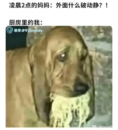 这是一张贴合日常社死场景的搞笑梗图，画面上方用文字呈现出凌晨2点被动静吵醒的妈妈的质问：“外面什么破动静？！”，下方标注“厨房里的我：”，并搭配一张狗狗叼着面条、表情心虚慌张的图片，用拟人化的方式，生动还原了深夜偷偷在厨房吃面条的“我”，被妈妈察觉动静时那种心虚、紧张又不敢出声的状态，把偷吃被抓包的社死感用动物的搞笑画面放大，容易引发有类似经历的网友共鸣。