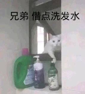 这是一张文字加注的静态单图，画面呈现的是一个类似浴室的场景，台面上摆放着三瓶不同的洗护清洁用品，分别是绿色大瓶装、紫色按压瓶装和绿色标签瓶装。一只白色猫咪从门的缝隙处探出头，一只爪子搭在门框上，眼神看起来好奇又小心翼翼。图片上方添加了黑色文字“兄弟 借点洗发水”，将猫咪拟人化，仿佛它是来借洗发水的“人”，用这种拟人化的方式制造出搞笑、趣味的效果，是一张宠物主题的趣味表情包。