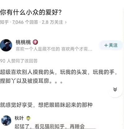 这是知乎问答社区中「你有什么小众的爱好？」问题下的用户回答截图。答主「桃桃桃」分享自己的小众爱好是喜欢被别人摸头、玩头发、玩手、捏脚丫和摸耳廓，会感到十分享受；下方用户「秋叶」评论调侃「起猛了，看见猫刷知乎，再睡会」，将答主的爱好类比成猫咪喜欢被抚摸的习性，趣味十足，该回答获得90人赞同。