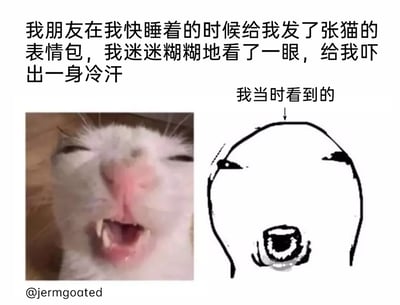这是一张图文结合的趣味内容图，上方的文字描述了一个生活乌龙事件：发布者在快要睡着的时候，收到朋友发来的猫咪表情包，迷迷糊糊看过去时，把猫咪看成了恐怖的形象，吓出一身冷汗。图片左侧是真实的猫咪实拍图，这只白色猫咪闭着眼睛，嘴巴大张，露出两颗尖牙，表情看起来搞怪又滑稽；右侧是发布者手绘的自己迷糊时看错的形象，是一个有着宽大头部轮廓、大张着恐怖嘴巴的简笔画，通过左右对比，直观呈现出因视觉错觉产生的巨大反差，制造出强烈的搞笑效果。