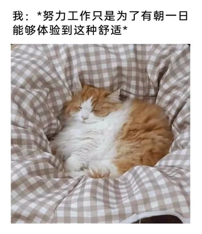这是一张图文混排的静态图，上方配有打工人的内心独白文字：“我：*努力工作只是为了有朝一日能够体验到这种舒适*”，下方主体是一只橘白相间的长毛猫咪，它双眼紧闭，神态满足放松，正蜷缩在柔软的格子猫窝里熟睡，姿态慵懒又惬意。图片将打工人努力工作的目标与猫咪的舒适状态绑定，精准戳中了职场人渴望摆脱工作压力、获得悠闲自在生活的心声，以幽默治愈的方式传递出打工人对“躺平式”舒适生活的向往，容易引发职场群体的情感共鸣。