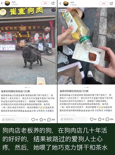 这组左右分栏的社交媒体截图记录了一起充满讽刺感的乌龙事件：左侧图中一只巴哥犬被拴在名为“崔寨狗肉”的店铺门口，发布者最初误以为它是流浪狗，投喂了饼干和加了东方树叶的饮品；右侧图展示了投喂的食物——纸盒里的巧克力饼干和东方树叶饮品。配文显示，发布者后来从路人处得知这是狗肉店老板养的狗，这只狗日常吃狗肉，根本不吃饼干，发布者感慨此事在狗届相当“炸裂”。下方补充文字点明，这只在狗肉店安然生活几十年的狗，被爱狗人士心疼投喂了对狗有毒的巧克力饼干，属于典型的好心办坏事。