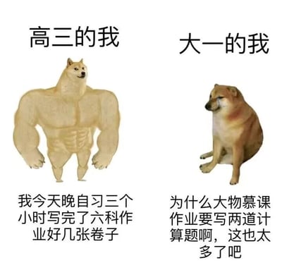 这是一张左右对比的静态P图，通过两种不同状态的柴犬形象，生动展现了学生从高三到大一的学习状态反差。左侧是经过P图创作的肌肉柴犬，代表“高三的我”，配文显示高三时期的学生精力充沛、学习效率极高，能在晚自习三小时内完成六科作业与多张试卷；右侧是神态颓废的普通柴犬，代表“大一的我”，配文则体现出进入大学后，学生的学习心态逐渐松懈，仅仅两道大学物理慕课的计算题就会让其觉得负担过重。该图以幽默夸张的方式，真实还原了众多学生从高压高中阶段到相对宽松大学阶段的心态和能力变化，引发学生群体的共鸣。