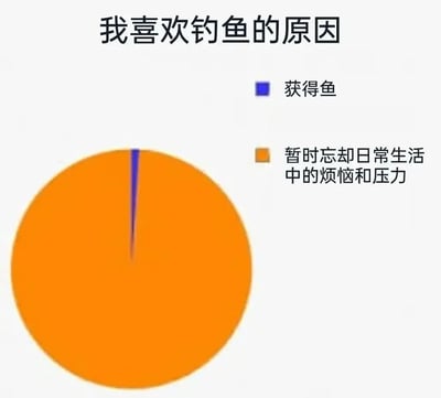 图片顶部有黑色标题文字“我喜欢钓鱼的原因”，下方是一个橙色为主的饼图。饼图中仅有一个极细的蓝色切片，对应右侧标签“获得鱼”，而占比绝大多数的橙色部分则对应标签“暂时忘却日常生活中的烦恼和压力”。通过夸张的比例对比，幽默地表达了钓鱼的核心乐趣并非获取渔获，而是逃离生活压力的心理需求。