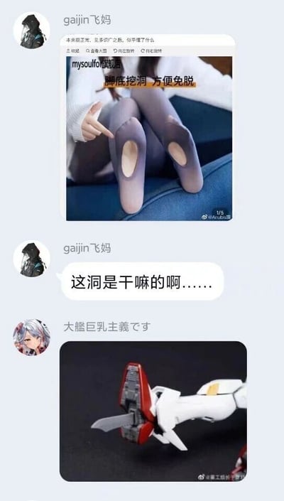 这是一段来自国内社交平台的聊天记录截图，用户“gaijin飞妈”首先发布了一张丝袜商品展示图，图中的丝袜脚底位置有挖洞，配文标注“脚底挖洞 方便免脱”，随后该用户发出疑问“这洞是干嘛的啊……”；接着用户“大艦巨乳主義です”发布了一张高达模型的脚部图片，该模型脚部有类似的开口结构，以此来趣味回应前者的提问，利用两张图中视觉元素的相似性制造玩梗效果，属于网友之间的趣味互动内容。