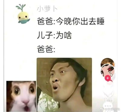 图片上方显示用户“小萝卜”及其卡通蔬菜头像，下方是一段父子对话：“爸爸:今晚你出去睡 儿子:为啥 爸爸:”。对话下方拼接了两张图片，左侧是一只眼睛瞪得溜圆、表情惊讶的猫，右侧是一个嘴巴大张、眼神震惊的男性面部特写。通过图文结合的方式，用夸张的惊讶表情暗示爸爸让儿子出去睡的原因，营造出幽默搞笑的效果。