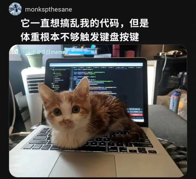 这是一张社交媒体分享的趣味图片，画面主体是一只棕白相间的小奶猫，正趴在打开的笔记本电脑键盘上，电脑屏幕显示着编程代码。配文描述这只小猫一直试图捣乱主人编写的代码，但由于体型幼小、体重太轻，无法触发键盘按键，可爱的行为和“失败”的结果形成反差，营造出温馨又好笑的氛围，既展现了萌宠的可爱，也结合了程序员的日常场景，容易引发相关群体的共鸣。