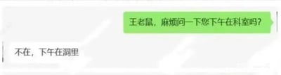 这是一张职场同事间的聊天记录截图，对话充满趣味：一方以调侃的称呼“王老鼠”询问对方下午是否在科室办公，被询问者巧妙顺着这个称呼玩起了梗，结合“老鼠居住在洞里”的常识，回复“不在，下午在洞里”，用幽默的方式回应了不在科室的情况，展现了职场中同事间轻松融洽的相处氛围，通过称呼与回复的呼应制造出搞笑的效果。