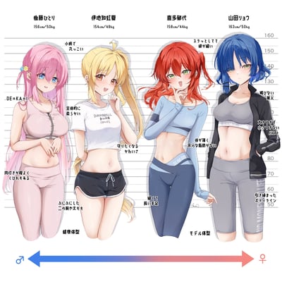 这是一张ACG同人创作图，展示了动画《孤独摇滚！》中的四位核心角色——后藤独、伊地知虹夏、喜多郁代、山田凉的身材数据与体型特点。图中以身高标尺为背景，四位角色身着运动装，分别标注了各自的身高体重：后藤独156cm/50kg，伊地知虹夏154cm/48kg，喜多郁代158cm/44kg，山田凉163cm/50kg。同时配有日文标注详细描述体型：后藤独是圆润小巧的健康体型，肉感适中有曲线；伊地知虹夏整体柔和，手臂大腿软乎乎，是让人想保护的可爱健康体型；喜多郁代线条纤细、身材单薄无多余脂肪，手脚细长属于模特体型；山田凉是不谄媚的美人，胸部大小适中，拥有紧致的身体线条。底部还有一个标注♂到♀的红蓝箭头，趣味化呈现体型的性别感倾向。整体画风精致，为AI辅助绘制的同人作品。