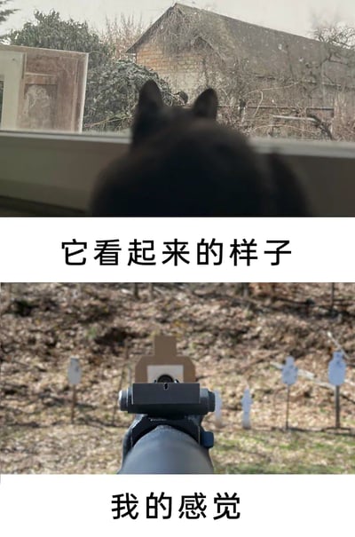 这是一张上下拼接的趣味对比梗图，上图展示了一只黑猫背对镜头蹲在窗台上，仅露出后脑勺与两只耳朵，从这个角度看仿佛正瞄准窗外的目标，配文“它看起来的样子”；下图是步枪瞄准镜的射击视角，配文“我的感觉”，通过视觉错觉制造反差感，幽默地表现出看到猫咪这个背影时，产生的仿佛自己正持枪瞄准的有趣联想，充满了生活化的趣味。