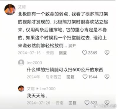 社交媒体聊天记录截图，用户“艾帼”提出北极熊打架时站立用后腿支撑导致重心不稳，认为自己可用扫堂腿轻松放倒。另一用户“lee2000”质疑“什么样的扫躺腿可以扫600公斤的东西”，“艾帼”回复“我天天练，”。对话充满幽默与荒诞感，调侃了不切实际的想法。