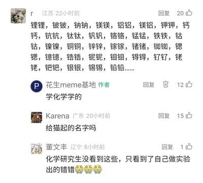 这是一张社交媒体评论区的截图，用户r将众多化学元素名称以叠词形式罗列，如“锂锂”“铍铍”等，账号“花生meme基地”的作者回复“学化学学的”，用户Karena调侃该内容像是给猫起的名字，用户董文丰以化学研究生的身份自嘲，称只看到自己做实验出的“错错”，并搭配哭泣表情，整体围绕化学相关内容展开趣味互动，用生活化的调侃展现化学学习和实验的日常，充满网感和趣味性。