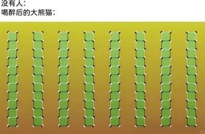 这是一张经典视觉错觉梗图，加上了中文网络配文“没人： 喝醉后的大熊猫：”，图中为排列整齐的绿色方块，因错位的角线让竖条看起来歪斜，实际上所有方块皆为整齐排列。通过谐音/语境梗把错觉和“喝醉”的感觉对应起来，引发好笑和共鸣。适合用来形容喝醉或者意识模糊的状态。