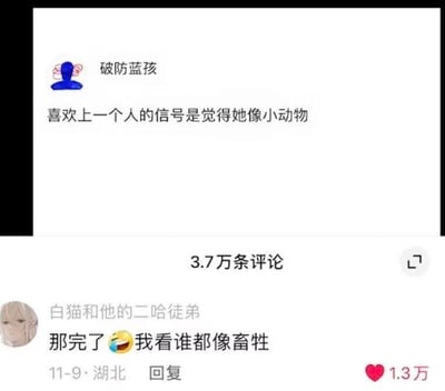 这是一张社交媒体平台的截图，上方是用户「破防蓝孩」发布的观点内容：「喜欢上一个人的信号是觉得她像小动物」，表达了一种对心仪对象带有可爱滤镜的心态。下方是来自湖北的用户「白猫和他的二哈徒弟」在11月9日留下的热门评论：「那完了😅我看谁都像畜牲」，该评论获得了1.3万点赞。评论者将原内容里的「小动物」延伸到「畜牲」，用错位的自嘲式理解制造出强烈的搞笑反差，形成了幽默的段子效果，戳中网友笑点。