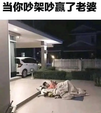 图片上方有文字'当你吵架吵赢了老婆'，下方是夜晚庭院场景，一名男子躺在地上，身上盖着毯子，旁边有一只狗，不远处停着一辆白色汽车。通过幽默的方式表现出和老婆吵架赢了后的'悲惨'下场，暗示家庭中夫妻相处的趣事。