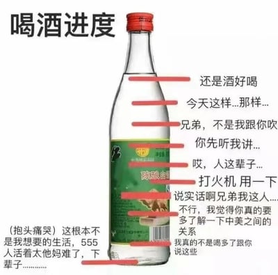 图片展示了一瓶透明玻璃装的陈酿白酒，瓶身上有绿色标签，瓶盖为红色。瓶身不同高度处有红色水平线标注，右侧对应不同饮酒阶段的经典语录，从初始的“还是酒好喝”，到逐渐深入的日常琐事、吹牛、人生感慨、借打火机、个人坦白，直至最后讨论“中美关系”并哭诉“人活着太他妈难了”。左下角另有补充文字：“(抱头痛哭) 这根本不是我想要的生活，555 人活着太他妈难了，下辈子............”，整体以幽默方式呈现饮酒者随酒精摄入增加而产生的言行变化。