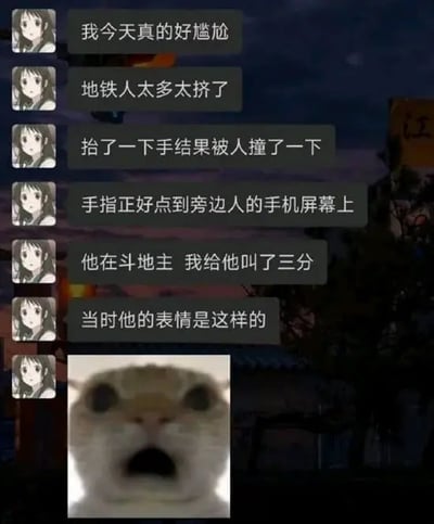 这张图片是一组微信聊天记录的截图，描述了一个人在地铁上因为人太多，操作手机时不小心手指点到了旁边人的手机屏幕，而那个人正在打斗地主，主角还“好心”帮他叫了三分。最后配上一只猫咪极度震惊的表情，完美还原了地铁里的尴尬与搞笑场面。

图片利用猫咪震惊表情形成强烈反差与幽默。
没有明显的谐音梗或暗示，有轻微双关（指“叫三分”和“叫人一跳”）。