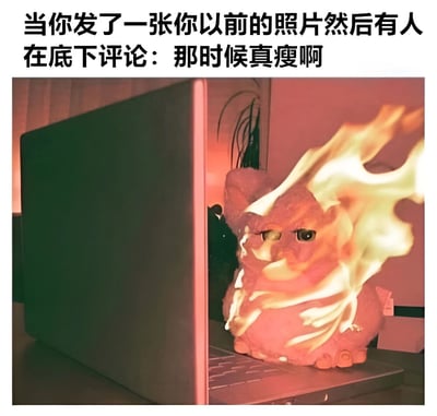 图片上方配有文字“当你发了一张你以前的照片然后有人在底下评论：那时候真瘦啊”，下方是一张粉色毛绒玩具（形似小猪）被火焰环绕的图片。毛绒玩具表情愤怒，眼神犀利，周围的火焰特效夸张，生动表现了当事人看到此类评论时内心的愤怒与无奈情绪，通过幽默的方式调侃了社交场合中关于身材变化的尴尬评论场景。