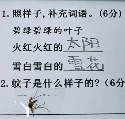 这是一张拍摄小学语文作业练习题的照片，第一题要求照例子补充ABAB结构的偏正词语，学生已经工整地在横线上填写了“太阳”和“雪花”，正确完成了这道题目；第二题的题目为“蚊子是什么样子的？（6分”，学生没有选择用文字描述蚊子的外形，而是直接将一只完整的死蚊子放在了题目的答题横线上，用实物直接回答了问题，刚好完美呼应了题目的提问，充满反差感和幽默感，让人忍俊不禁。