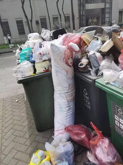 这是一张户外实拍的静态图，画面中多个垃圾桶被塑料袋、包装盒等各类生活垃圾填满，垃圾还溢出到了地面上。在垃圾桶旁显眼地立着一个印有粉色头发动漫女孩形象的等身抱枕，它与周围脏乱的垃圾形成强烈反差，显然是被主人当作废弃物丢弃。背景可见城市街道、行道树和居民楼，地面带有潮湿痕迹，推测刚下过雨，整体场景充满了现实生活的烟火气，同时又因二次元周边出现在垃圾堆里而显得违和又滑稽。
