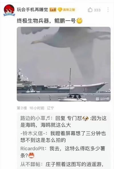 这张图是百度贴吧的帖子评论区截图，发布用户ID为玩会手机再睡觉，等级为Lv8，该帖子获赞333。帖子配文戏称配图里的生物是“终极生物兵器，鲲鹏一号”，配图利用近大远小的透视原理形成视觉错位：距离镜头极近的海鸥看起来体型异常庞大，甚至比远景海面上的航空母舰还要大很多，营造出巨型神话生物悬浮在海面上方的错觉。下方的评论区网友纷纷玩梗调侃，有人谎称海鸥本身就有这么大，有人疑惑该照片的拍摄手法，还有人调侃这就是《逍遥游》中记载的鲲鹏，好奇它要吃多少薯条才能长到这么大。