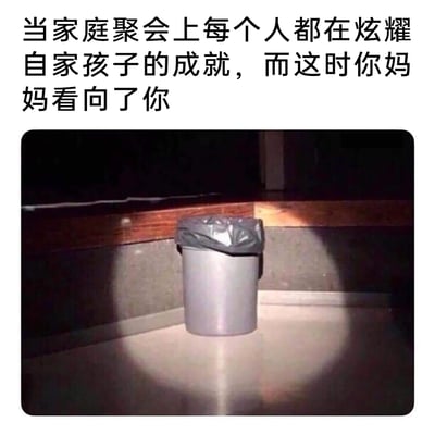 这是一张精准戳中当代年轻人痛点的搞笑梗图。上方配文描述了一个极具共鸣的生活场景：在家庭聚会中，亲戚们纷纷炫耀自家孩子的各类成就，此时自己的妈妈将目光投向了自己。下方的图片则用一个被聚光灯单独照亮的垃圾桶来隐喻此刻的自己——在全场的关注下，自己仿佛成为了焦点，却在一众“优秀”的对比下显得格格不入，窘迫又尴尬，生动地放大了普通年轻人在家庭聚会这类场景中，面对亲友炫娃时的社死心态与无形压力，用夸张的画面感引发了大量网友的共鸣。