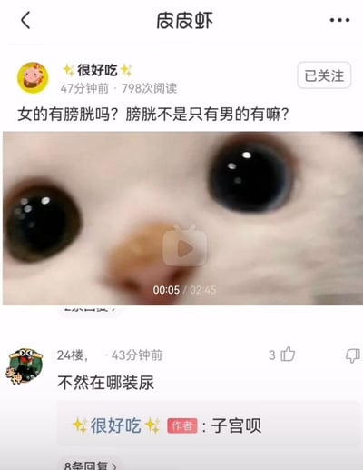 这是一张皮皮虾平台的用户发帖截图，用户「很好吃」发布了一个缺乏基础生理常识的提问：「女的有膀胱吗？膀胱不是只有男的有嘛？」，并搭配了一张大眼猫咪脸部特写的视频作为内容。下方24楼网友回复「不然在哪装尿」，楼主则回复「子宫呗」，用完全错误的生理认知制造出荒诞搞笑的效果，没有双关、谐音梗等特殊修辞，纯粹是错误常识带来的笑点。