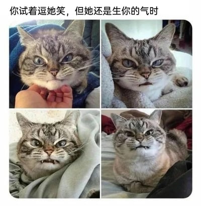 这是一张四格拼接的静态表情包，顶部配有文字“你试着逗她笑，但她还是生你的气时”，四格内容均为同一只虎斑猫：第一格中猫咪被手托着下巴，却依旧瞪着眼睛满脸不悦；第二格猫咪趴在毛绒垫子上，嘴角下撇，表情严肃；第三格猫咪窝在浅色织物里，露出小尖牙，眼神充满怒意；第四格猫咪趴在床品上，皱着脸露出牙齿，一脸气鼓鼓的样子。该表情包通过猫咪拟人化的愤怒表情，生动还原了人在被试图哄好但依旧处于生气状态时的情绪变化，用可爱又真实的猫咪状态来表现这种又气又有点好笑的场景，适合用来表达自己或他人没被哄好的生气情绪。