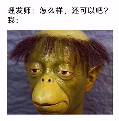 这是一张用来吐槽理发翻车场景的表情包，上方配有文字对话：理发师询问顾客对新发型是否满意，下方则用一张经过P图合成的怪异人脸来具象化顾客的反应——该人脸结合了动物的面部特征与人类的眼睛，顶着一个失败的、怪异的半秃发型，眼神幽怨，嘴角下撇，满脸都是憋屈、生无可恋的神情，精准地传递出顾客在看到自己被理坏的发型时，内心充满无奈、不满却又不便发作的复杂情绪，能够引发有过类似理发失败经历的人的强烈共鸣。