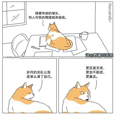 一只橘白色猫咪以自嘲的方式反思自己的成长，感叹随着年纪增大，别人对它的期待越来越低，自己也变得更复杂无常、不耐烦，却越来越真实。这组漫画用猫咪幽默的表情和反转情绪表达了成长带来的心态变化，非常适合用来自黑或在朋友圈表达丧气、自我调侃。

- 有轻微的冷幽默和自嘲成分。
- 猫最后一格的表情令人捧腹，对比前两格的“人生感悟”更显反讽。
