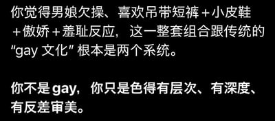 这是一张纯文字图，内容分为两段：第一段提出观点，认为带有“欠操、喜欢吊带短裤+小皮鞋+傲娇+羞耻反应”这类特质的男娘文化和传统的gay文化属于完全不同的系统；第二段则以调侃的语气表示，喜欢这类男娘的人并非是gay，而是拥有有层次、有深度、有反差感的审美。整体是针对小众审美文化的讨论与调侃，不存在双关、谐音梗或暗示内容。