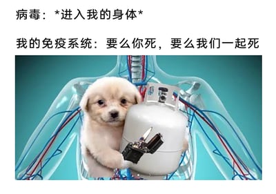 这是一张充满趣味的网络梗图，采用图文结合的形式呈现。上方配有两行文案，第一行模拟病毒的行为：“病毒：*进入我的身体*”，表现病毒入侵人体的过程；第二行是免疫系统的回应：“我的免疫系统：要么你死，要么我们一起死”，直白地表达出一种极端的对抗态度。下方的视觉部分是经过P图合成的创意画面：将一只小狗合成在透明的人体胸腔内部，小狗怀抱着一个白色的煤气罐，一只爪子握着已经点火的打火机，表情看起来有些委屈无辜，但动作却充满了“同归于尽”的攻击性。这张图用夸张、拟人化的方式，调侃了当人体感染病毒时，免疫系统在消灭病毒的过程中，可能会出现过度反应，在清除病毒的同时也对自身身体组织造成损伤的“杀敌一千自损八百”的情况，用幽默的方式消解人们生病时的不适体验。