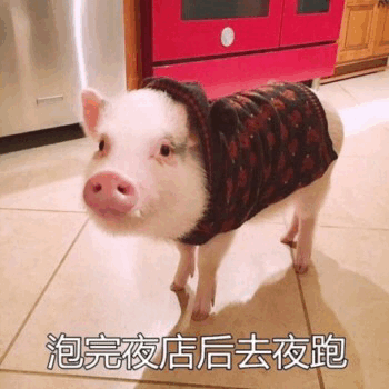 图片中是一只白色的小猪，它站在厨房的浅色地砖上，背景可见红色的橱柜和银色的冰箱。小猪穿着一件深色带花纹的毛衣，表情平静地看着前方。图片底部配有文字“泡完夜店后去夜跑”，通过将小猪拟人化，营造出一种反差萌的搞笑效果，仿佛这只小猪刚结束夜店的热闹，又准备投入到夜跑的运动中。