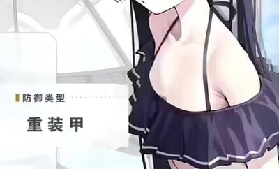 这是一张图文混排的搞笑玩梗图，左侧配有文字“防御类型：重装甲”，右侧是穿着露肩泳装的二次元女性角色的上半身。图中利用“重装甲”的字面意思，谐音双关调侃角色的胸部特征，将游戏里的防御类型术语和角色形象结合，制造出幽默恶搞的效果。
