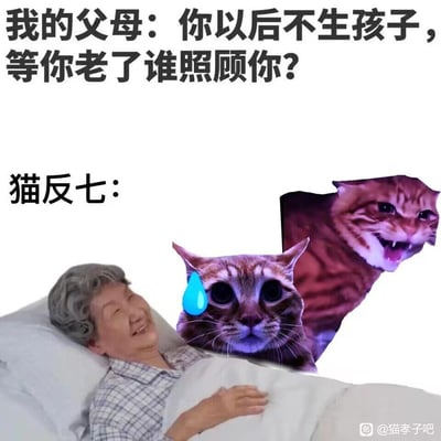 这是一张用来回应父母催生孩子的趣味梗图。上方文字是父母的灵魂拷问：「我的父母：你以后不生孩子，等你老了谁照顾你？」，下方标注「猫反七：」，画面呈现一位躺在床上的老奶奶，旁边被P上了两只猫咪：一只猫咪挂着汗珠，露出惊恐无奈的表情；另一只猫咪张嘴露齿，显得亢奋激动。这张图用猫咪「照顾」老人的荒诞画面，调侃了年轻人想用养猫代替生孩子养老的想法，搞笑又讽刺，精准戳中了不想生育、热爱养猫的群体的心态。